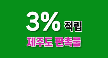 제주도 판촉물 – 지역 특산품부터 특별한 경험까지!